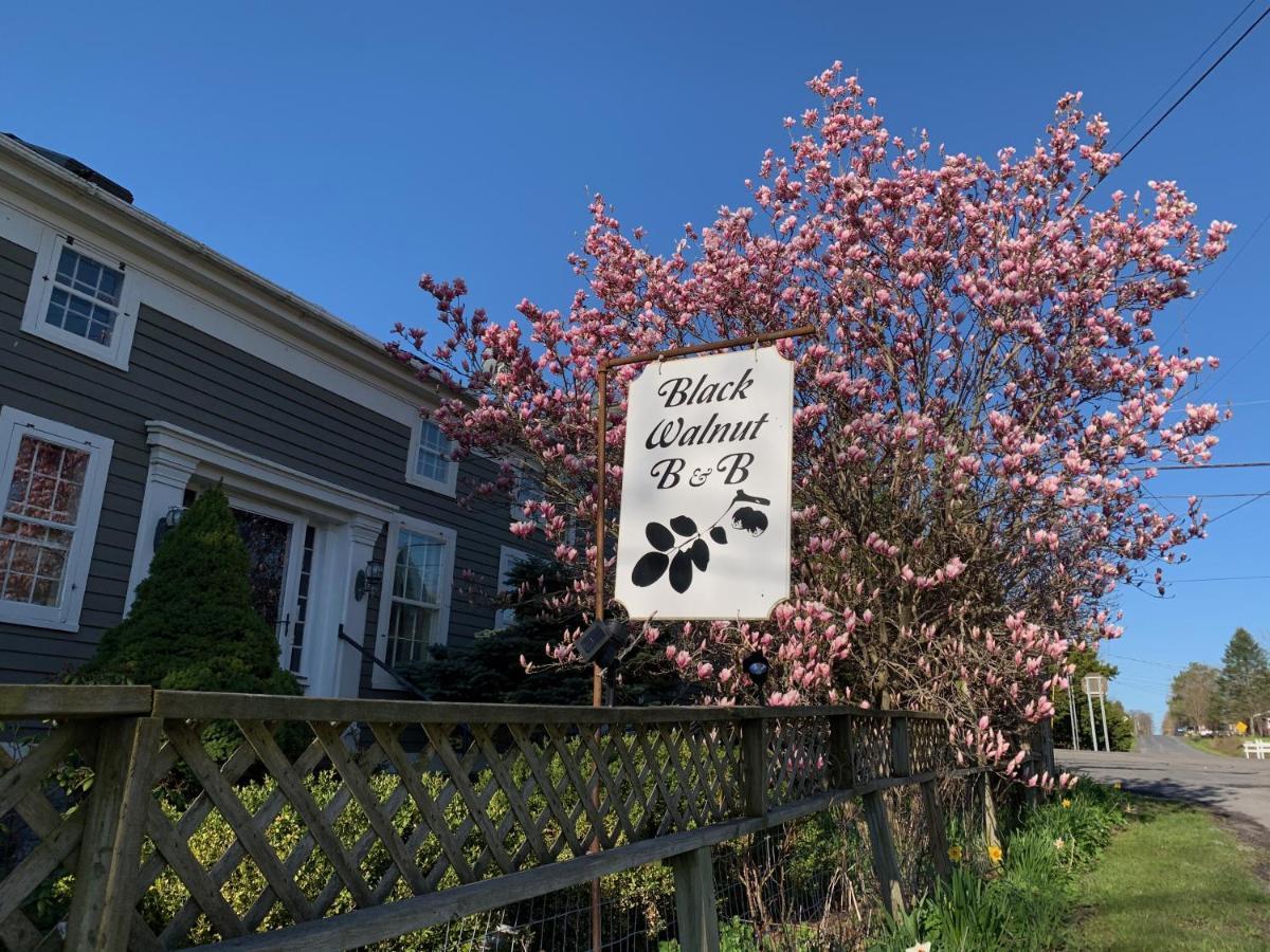 Black Walnut Bed And Breakfast Interlaken Exterior photo