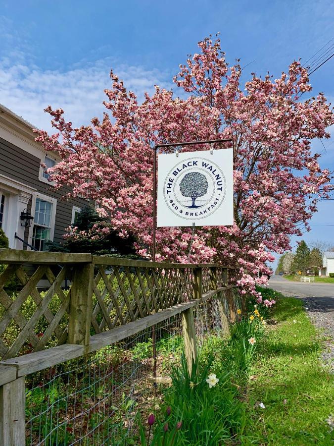 Black Walnut Bed And Breakfast Interlaken Exterior photo