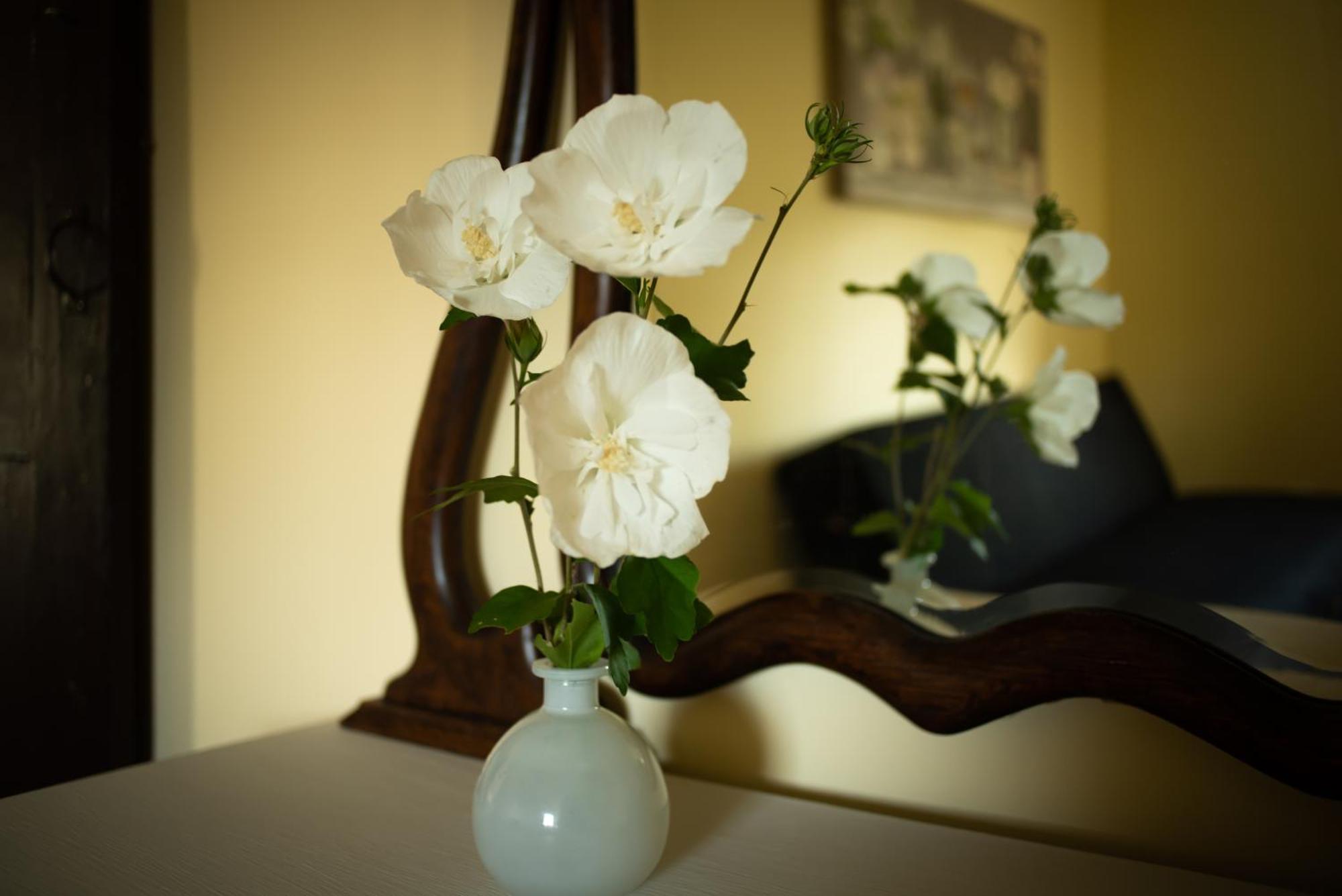 Black Walnut Bed And Breakfast Interlaken Room photo